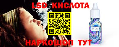 дживик Шелехов