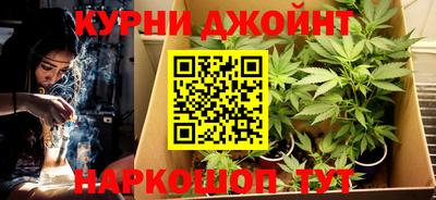 дживик Шелехов