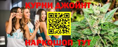 дживик Шелехов